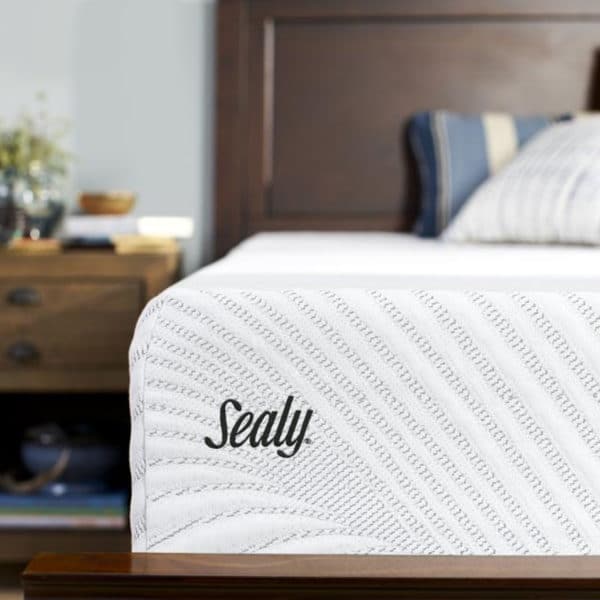 Sealy Logo view