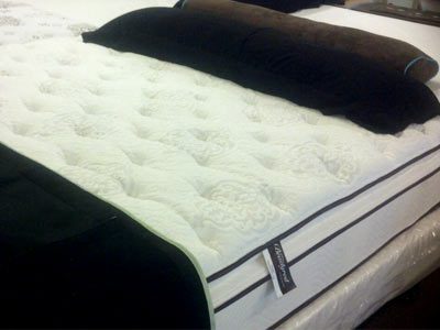 Is There A Bed Bug Proof Mattress, How To Protect Mattress From Bed Bugs